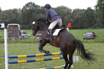 Bild 1351 - WBO-Turnier am 18.9.11